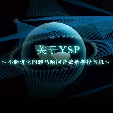 不断进化的利来国际最老牌回音壁数字投音机