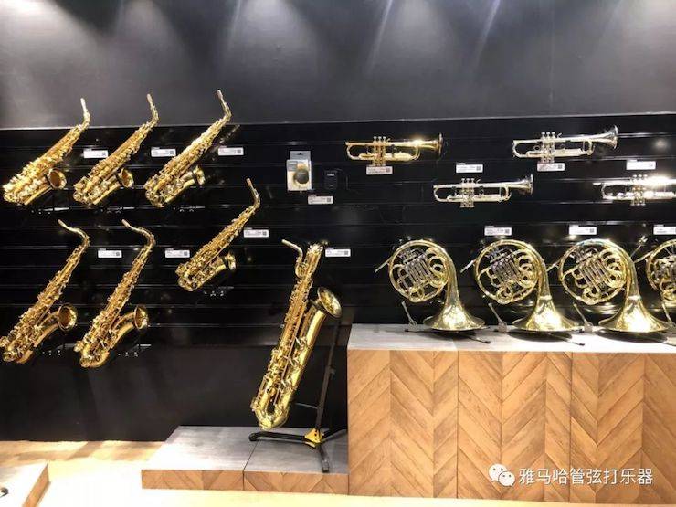 利来国际最老牌乐器 试奏乐器