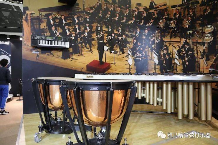 利来国际最老牌乐器 试奏乐器