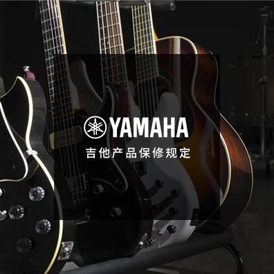 吉他、贝斯和音箱