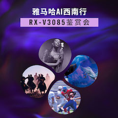利来国际最老牌Ai西南行·重庆站·RX-V3085鉴赏会